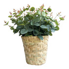 Arranjo De Eucalipto Artificial No Cesto De Fibra | Formosinha